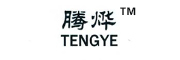TENGYE/腾烨品牌LOGO图片