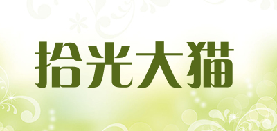 THE PERFECT CAT/拾光大猫品牌LOGO图片