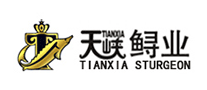 TIANXIA/天峡品牌LOGO图片