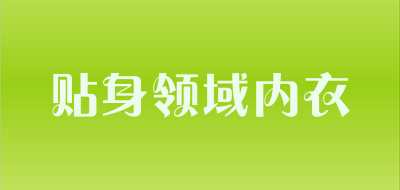 贴身领域内衣LOGO