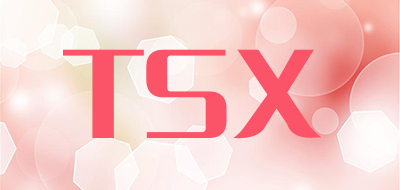 TSX品牌LOGO图片