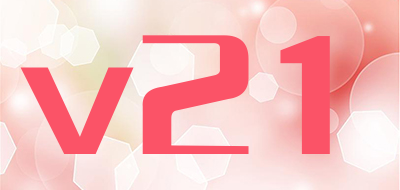 v21品牌LOGO图片