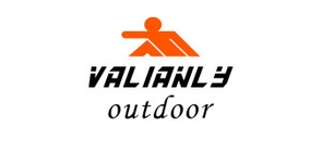 valianly品牌LOGO图片