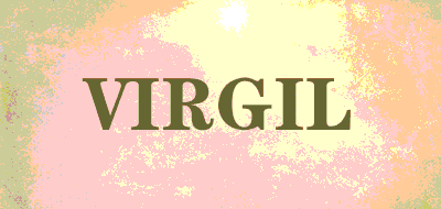 VIRGIL品牌LOGO图片