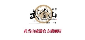 武当山旅游品牌LOGO