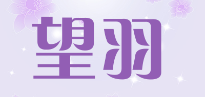 望羽LOGO