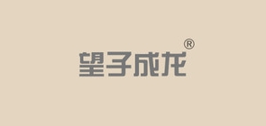 望子成龙童装品牌LOGO图片