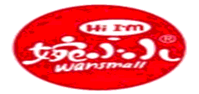 婉小小LOGO