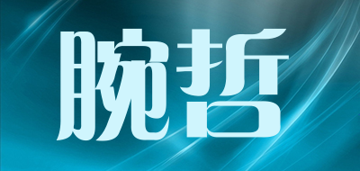 腕哲品牌LOGO图片