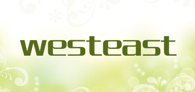 westeast品牌LOGO图片