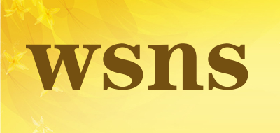 wsns品牌LOGO图片