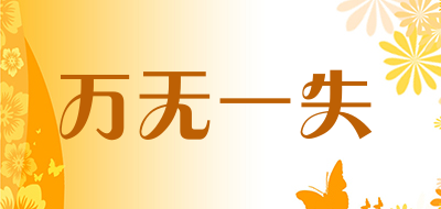 wwys/万无一失LOGO