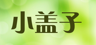 小盖子LOGO