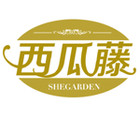 西瓜藤品牌LOGO图片