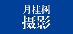 月桂树品牌LOGO图片