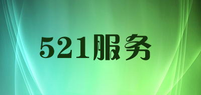 521服务LOGO