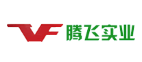 腾飞LOGO