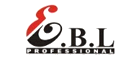 意宝龙EBL品牌LOGO图片