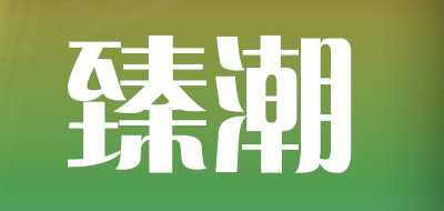 臻潮品牌LOGO图片