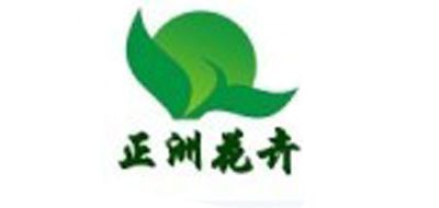 正洲品牌LOGO图片