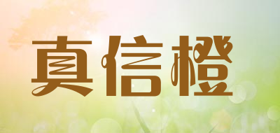 真信橙LOGO