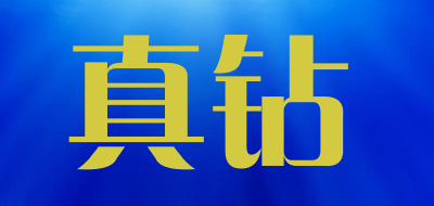 真钻品牌LOGO图片