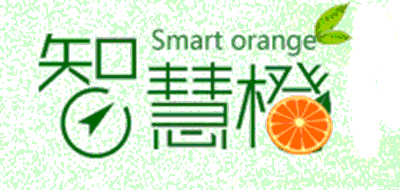智慧橙LOGO
