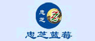 忠芝ZZ品牌LOGO图片