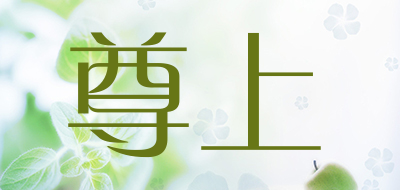 zun shang/尊上品牌LOGO图片