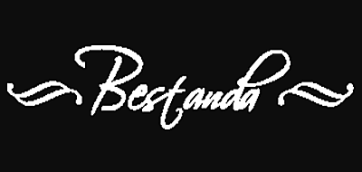 Bestanda/百世丹达品牌LOGO图片