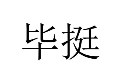 毕挺LOGO