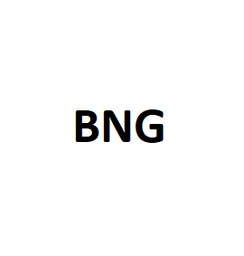 BNG品牌LOGO图片
