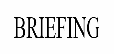 BRIEFING品牌LOGO图片