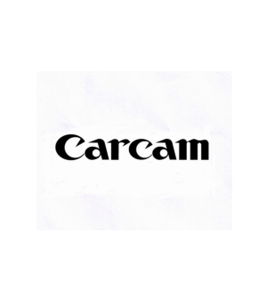 carcam品牌LOGO图片