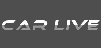 CAR LIVE/巧夫人品牌LOGO图片