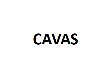 CAVAS品牌LOGO图片
