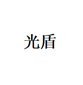 光盾LOGO