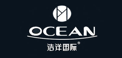 浩洋国际品牌LOGO图片
