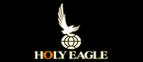 HOLY EAGLE/神鹰品牌LOGO图片