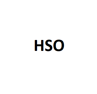 HSO品牌LOGO图片