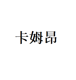 卡姆昂LOGO