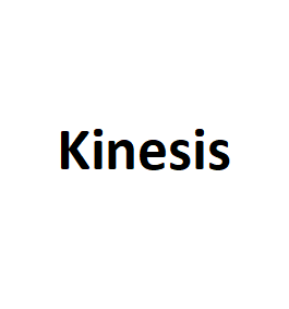 Kinesis品牌LOGO图片