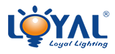 莱亚光电品牌LOGO图片