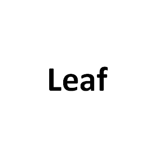 Leaf品牌LOGO图片