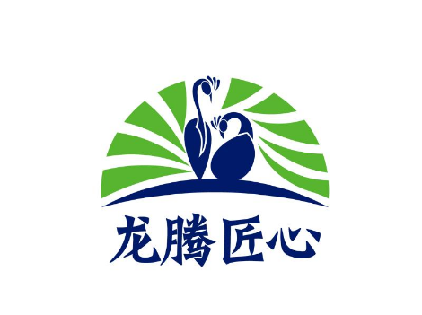 龙腾匠心品牌LOGO