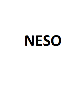 NESO品牌LOGO图片