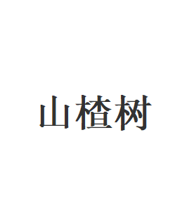 山楂树品牌LOGO图片
