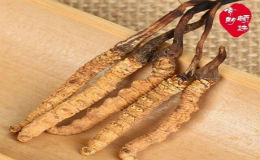 索朗顿珠品牌LOGO图片