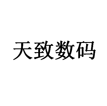 天致数码品牌LOGO图片