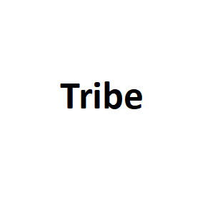 Tribe品牌LOGO图片